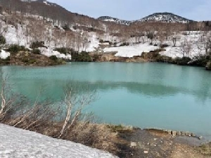 最近はまった事・・・